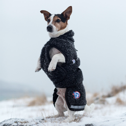 Canelana Ambassadr hundedkken uld