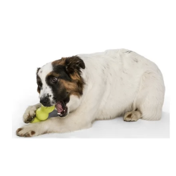 West Paw Rumpus legetj Medium