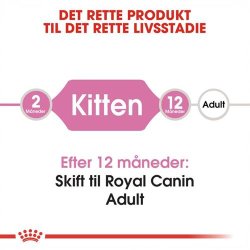 Royal Canin Kitten 36