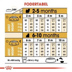  Royal Canin Yorkshire Terrier 29 Junior