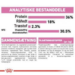 Royal Canin Kitten 36