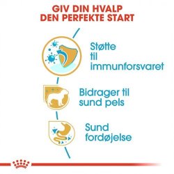  Royal Canin Yorkshire Terrier 29 Junior