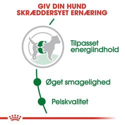  Royal Canin Mini Adult