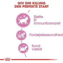 Royal Canin Kitten 36