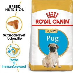  Royal Canin Mops Puppy