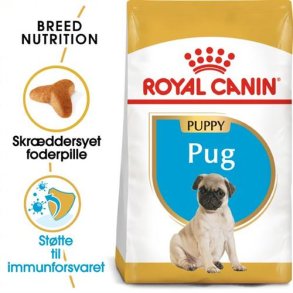  Royal Canin Mops Puppy
