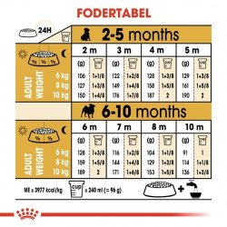  Royal Canin Mops Puppy