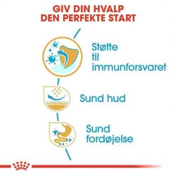  Royal Canin Mops Puppy