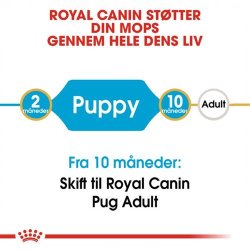  Royal Canin Mops Puppy