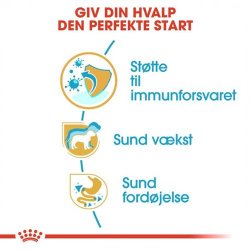  Royal Canin Jack Russell Hvalp/Junior 1,5 kg.