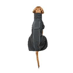 Back On Track Bark hundedkken