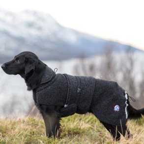 Canelana Ambassadr hundedkken uld