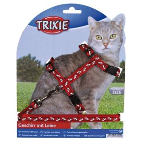 Kattesele til store katte rd