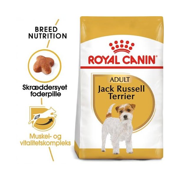  Royal Canin Jack Russel