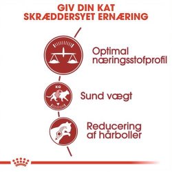 Royal Canin Fit 32 Kattefoder