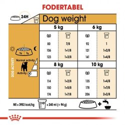  Royal Canin Jack Russel