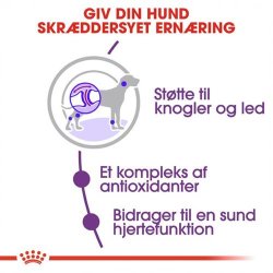  Royal Canin Giant Adult 28 15 kg.