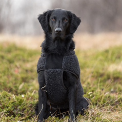 Canelana Ambassadr hundedkken uld