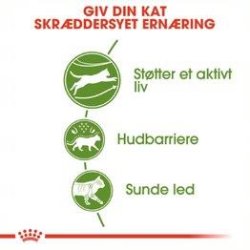 Royal Canin Outdoor 30 