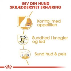  Royal Canin Labrador Retriever Voksen Sterilised  12 kg.