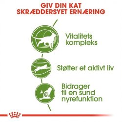 Royal Canin Outdoor 7+ 