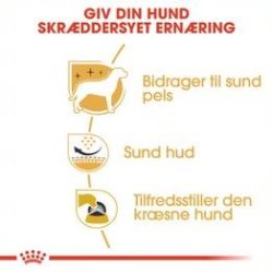  Royal Canin West Highland White Terrier 21 Adult