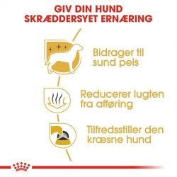  Royal Canin Maltese voksen hundefoder 1,5 kg.