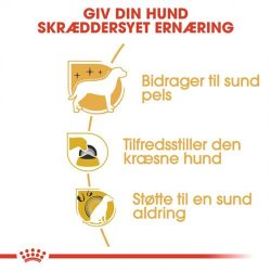  Royal Canin Yorkshire Terrier 28 Adult