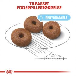  Royal Canin Hundefoder Giant Mother &amp; Babydog 15 kg.