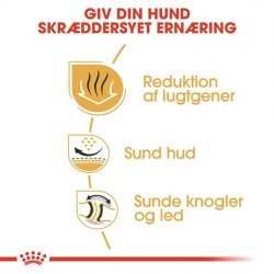 Royal Canin Hundefoder Bulldog Voksen