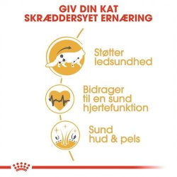 Royal Canin Maine Coon 