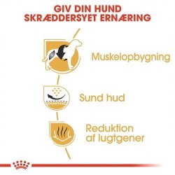 Royal Canin Hundefoder Voksen Fransk Bulldog