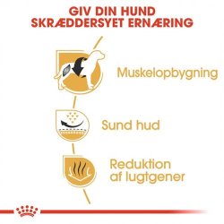 Royal Canin Hundefoder Voksen Fransk Bulldog