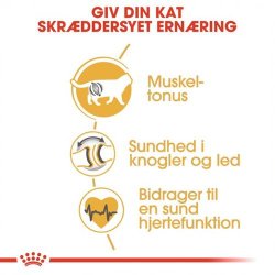  Royal Canin British Shorthair 10 kg.