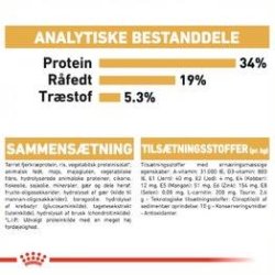  Royal Canin British Shorthair 10 kg.