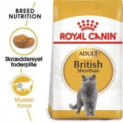  Royal Canin British Shorthair 10 kg.