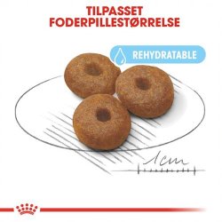  Royal Canin Maxi Starter Mother &amp; Babydog 30 15 kg.