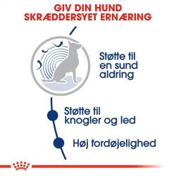  Royal Canin Maxi Ageing 8+ 15 kg.