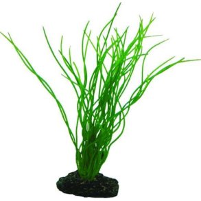 Hobby Plastik plante Sagittaria 20 cm