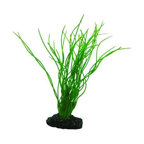 Hobby Plastik plante Sagittaria 20 cm
