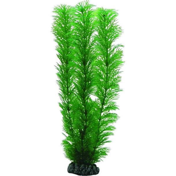 Hobby Plastik plante Egeria 20 cm Hj.