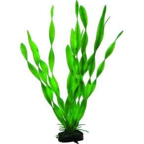 Hobby palstikplante Walliseneria 34 cm hj.