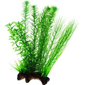 Plastik plante Flora Root 30 cm hj-