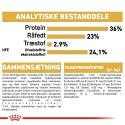 Royal Canin Kitten Maine Coon 36