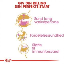 Royal Canin Kitten Maine Coon 36