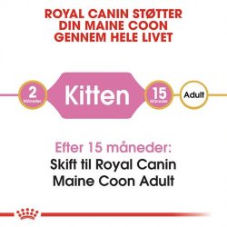 Royal Canin Kitten Maine Coon 36