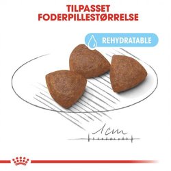  Royal Canin Mother &amp; Babydog Medium Starter 15 kg.