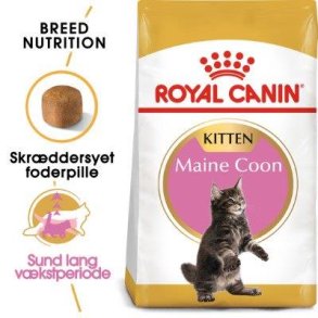 Royal Canin Kitten Maine Coon 36