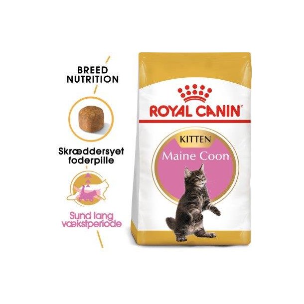 Royal Canin Kitten Maine Coon 36 10 kg