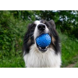 Kiwi Walker let spille bold.